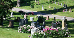 Allnutt Funeral Services